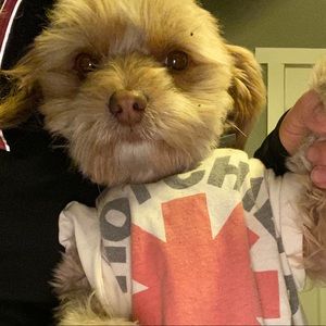 Meet your Posher, Alexis